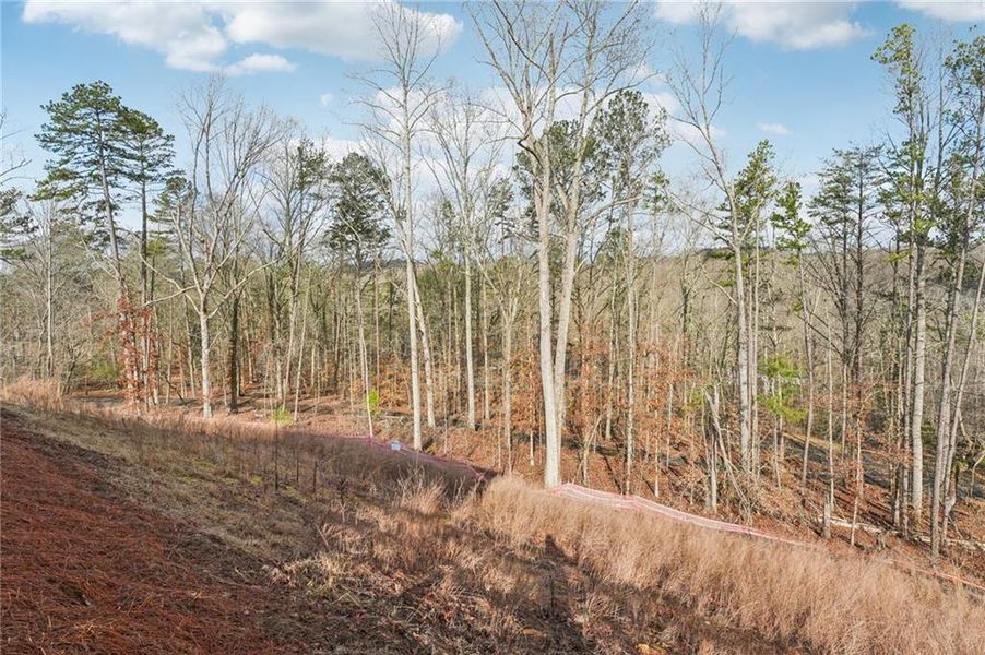 Natural landscape and outdoor views near Tiberon Woods in Cumming (Image 66). Natural landscape and outdoor views near Tiberon Woods in Cumming (Image 66).