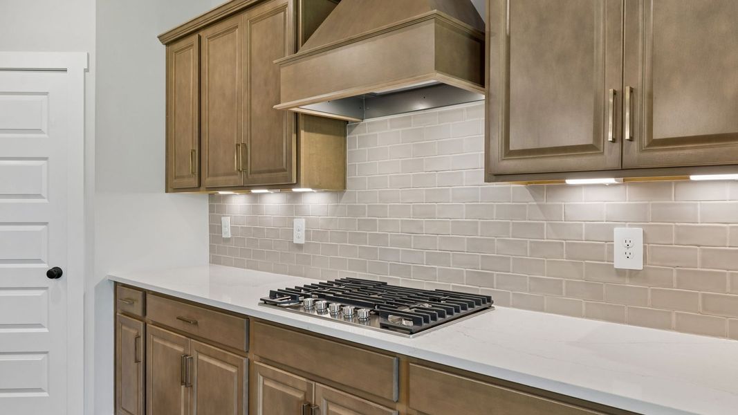 Representative interior finishes for a home built from the Holden by D.R. Horton in Harvest Point, Spring Hill (Image 22).