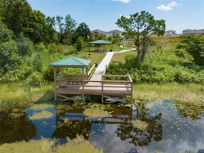 Image 8 of a home in Trinity Lakes.