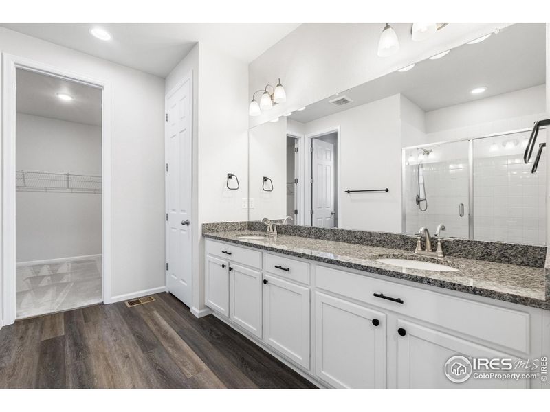 Main Level ensuite primary bathroom.