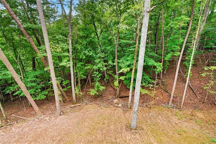 Natural landscape and outdoor views near in Ellijay (Image 32). Natural landscape and outdoor views near in Ellijay (Image 32).
