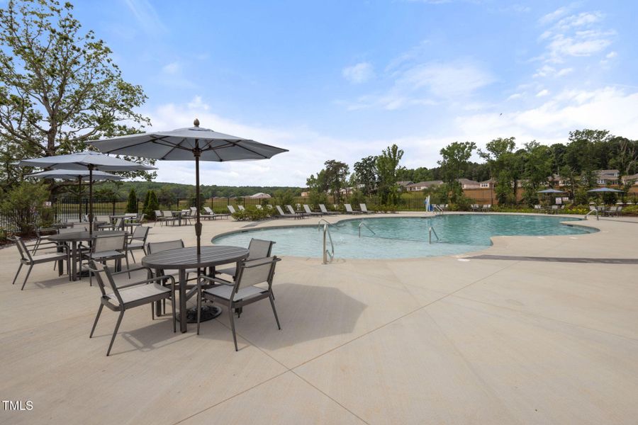 8-web-or-mls-7K5A3748