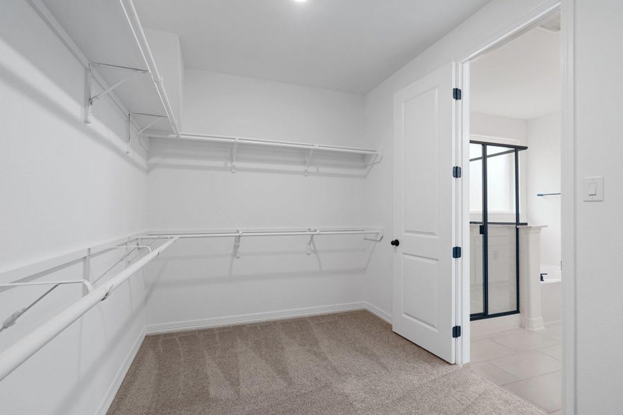 representative photo