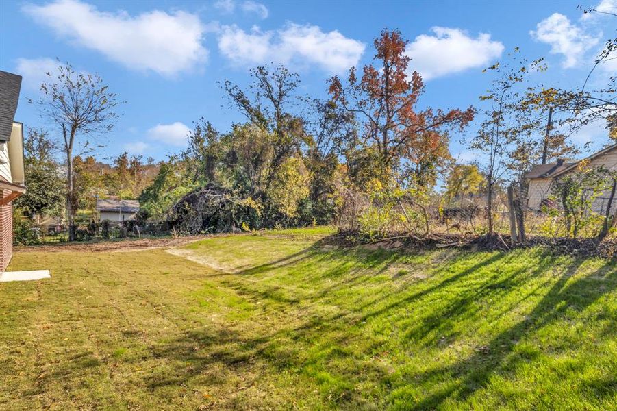 Natural landscape and outdoor views near  in Tyler (Image 35).