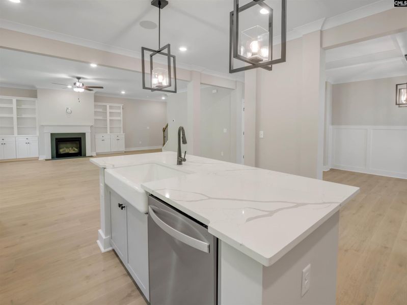 Furnished interior view inside a new home in Collins Cove, Chapin (Image 5).