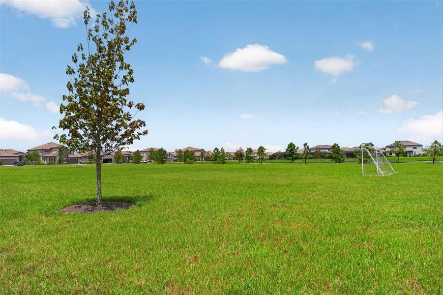 Natural landscape and outdoor views near in Bradenton (Image 86). Natural landscape and outdoor views near in Bradenton (Image 86).