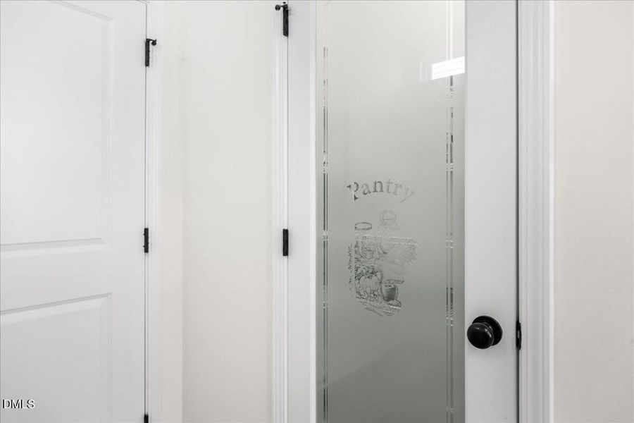 24-2A1A1191 pantry door