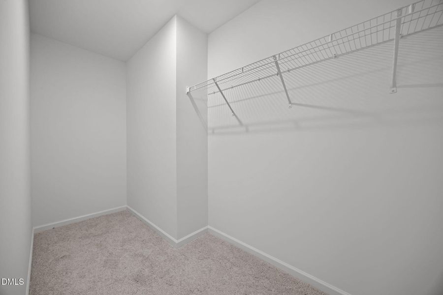 41-web-or-mls-6S8A4093