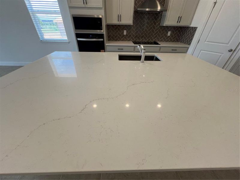 Image 26 of a home in Hills of Minneola. Image 26 of a home in Hills of Minneola.