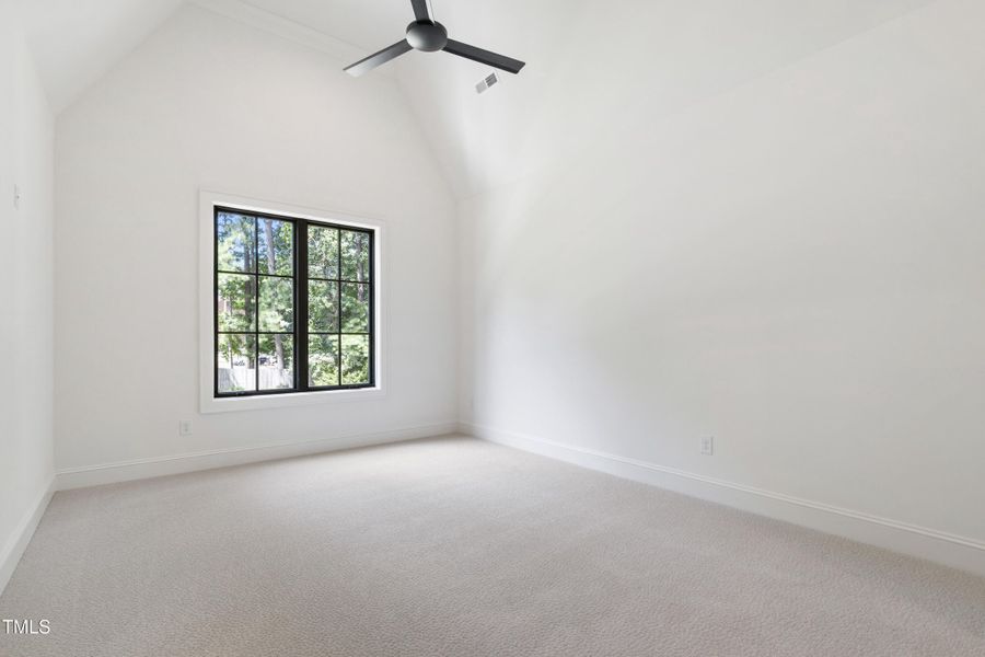 Tanbark (71) Tanbark (71)