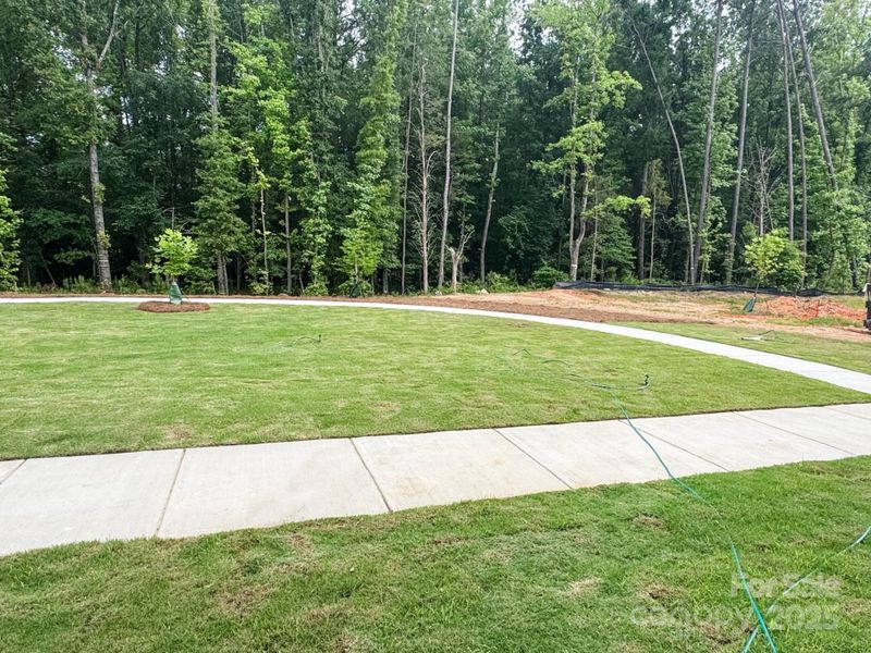 Common Greenspace Common Greenspace