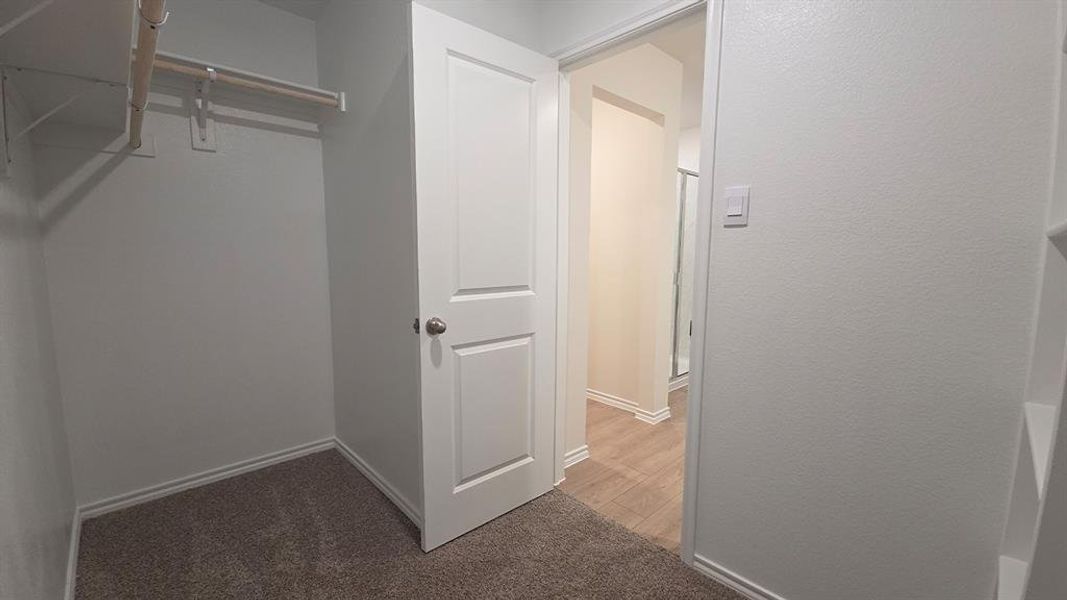 Walk-in closet with carpet flooring, white walls, and a built-in hanging rod Walk-in closet with carpet flooring, white walls, and a built-in hanging rod