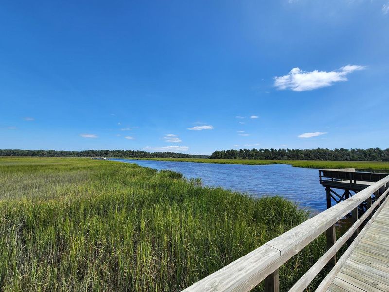 Natural landscape and outdoor views near Rivers Reach in Yemassee (Image 40).
