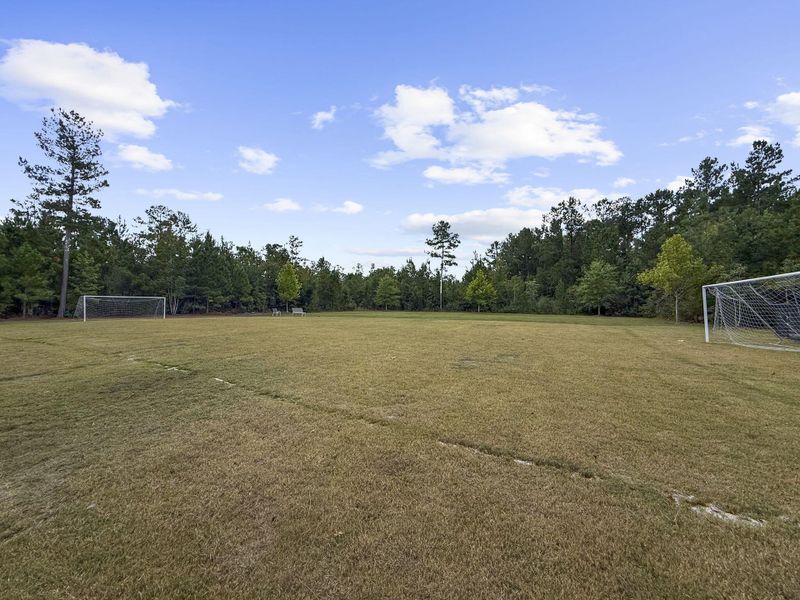 Natural landscape and outdoor views near Nexton in Summerville (Image 28). Natural landscape and outdoor views near Nexton in Summerville (Image 28).