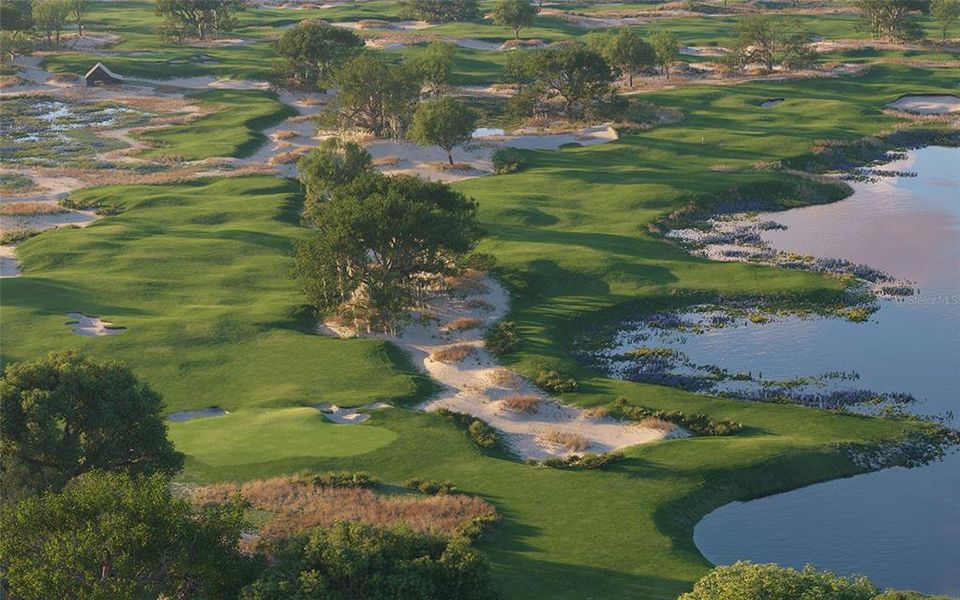 Natural landscape and outdoor views near  in Myakka City (Image 8).