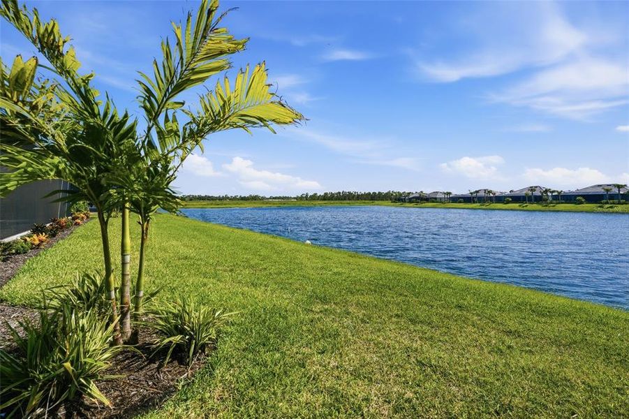 Natural landscape and outdoor views near  in Punta Gorda (Image 63).