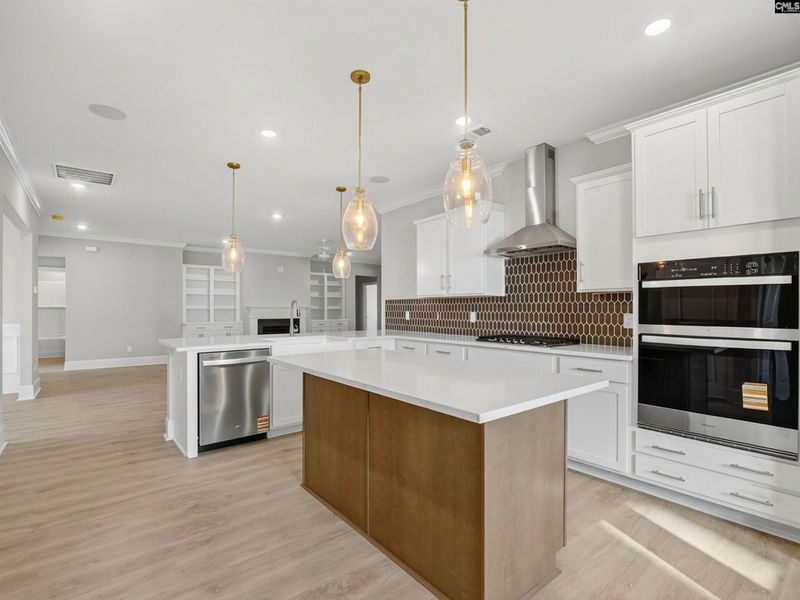 Furnished interior view inside a new home in Collins Cove, Chapin (Image 10).