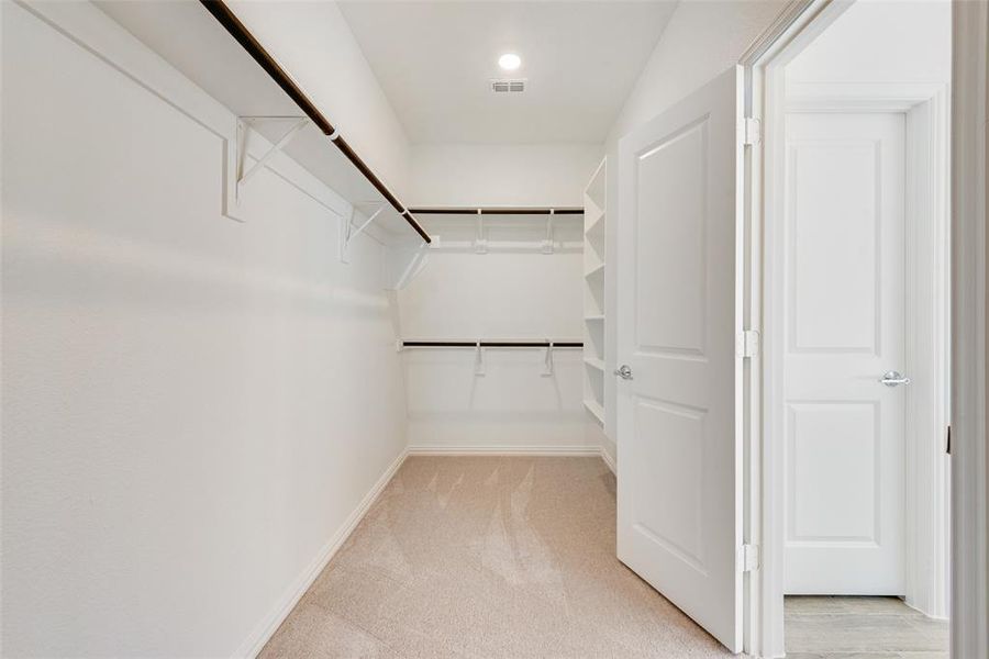 Walk in closet featuring light colored carpet