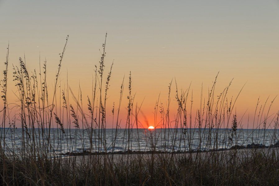 Natural landscape and outdoor views near  in Edisto Island (Image 65).
