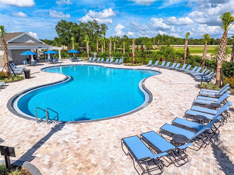 Community amenities in Palm Wind, Hudson (Image 24).