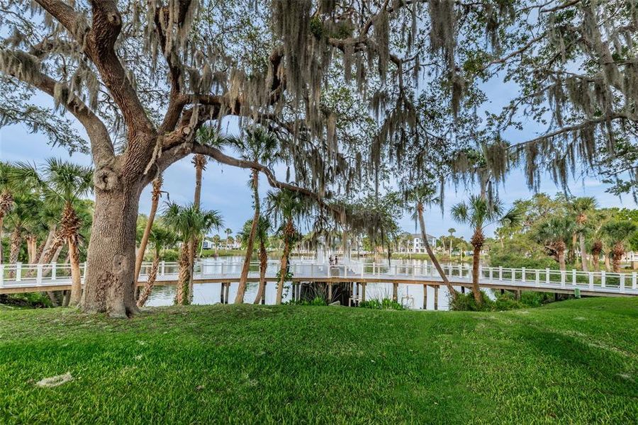 Natural landscape and outdoor views near  in New Port Richey (Image 37).