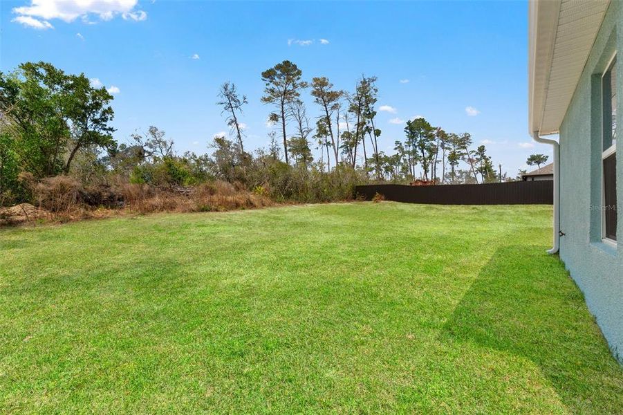 Exterior details and patio area of a home in , Spring Hill (Image 4).