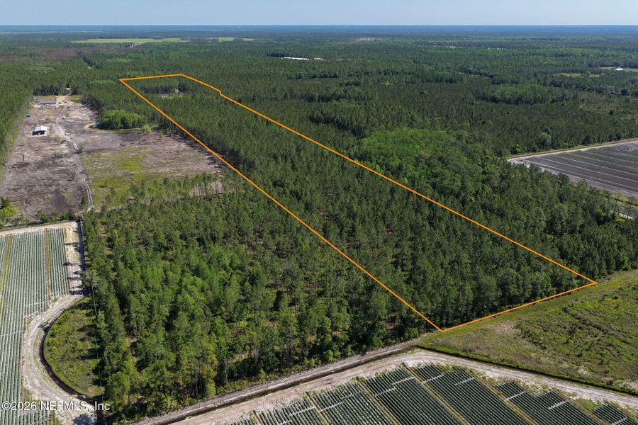 Natural landscape and outdoor views near  in Bunnell (Image 41).