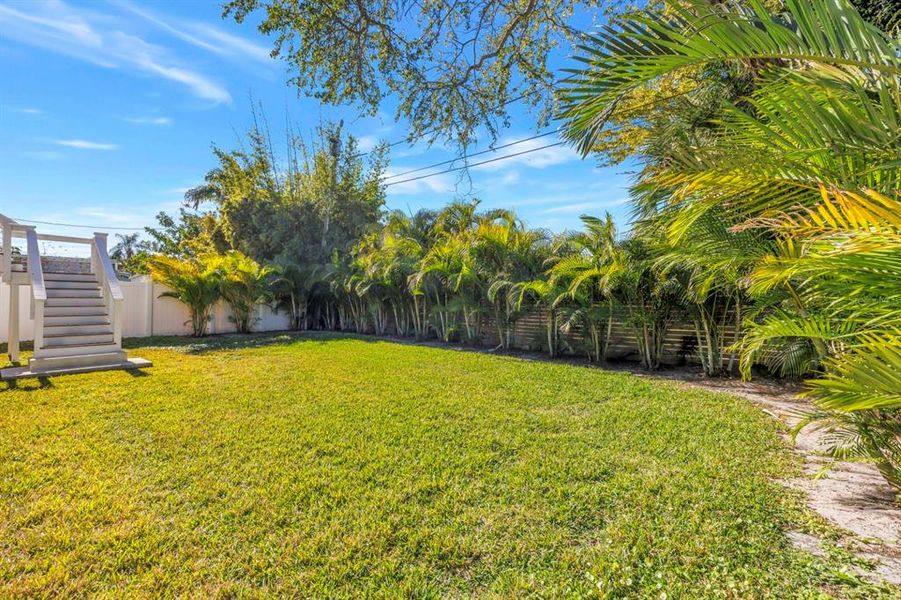 Natural landscape and outdoor views near  in St. Petersburg (Image 61).