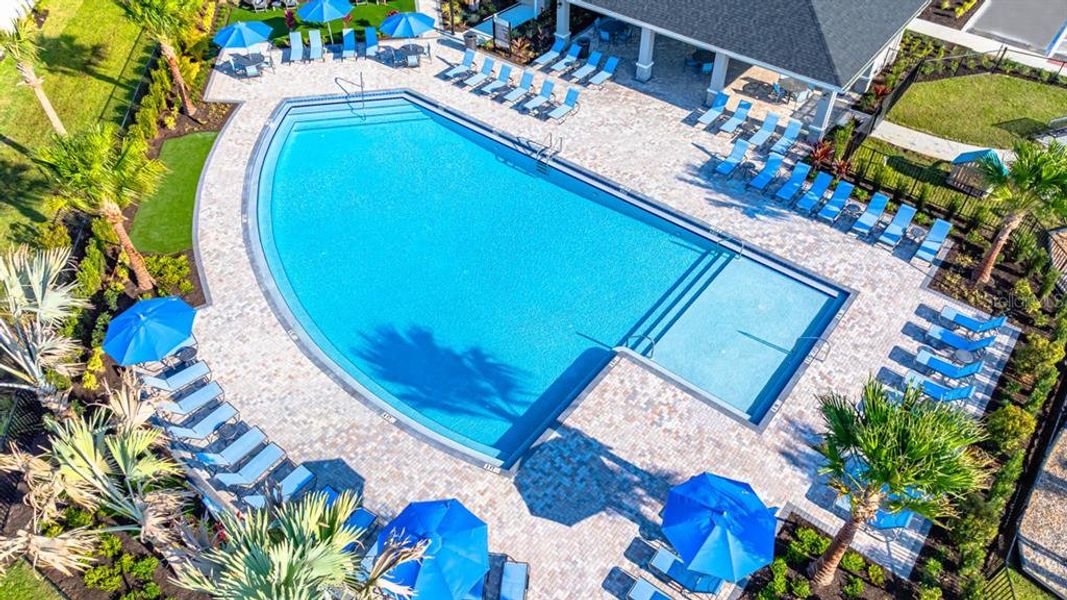 Community amenities in Indigo Creek, Apollo Beach (Image 33).