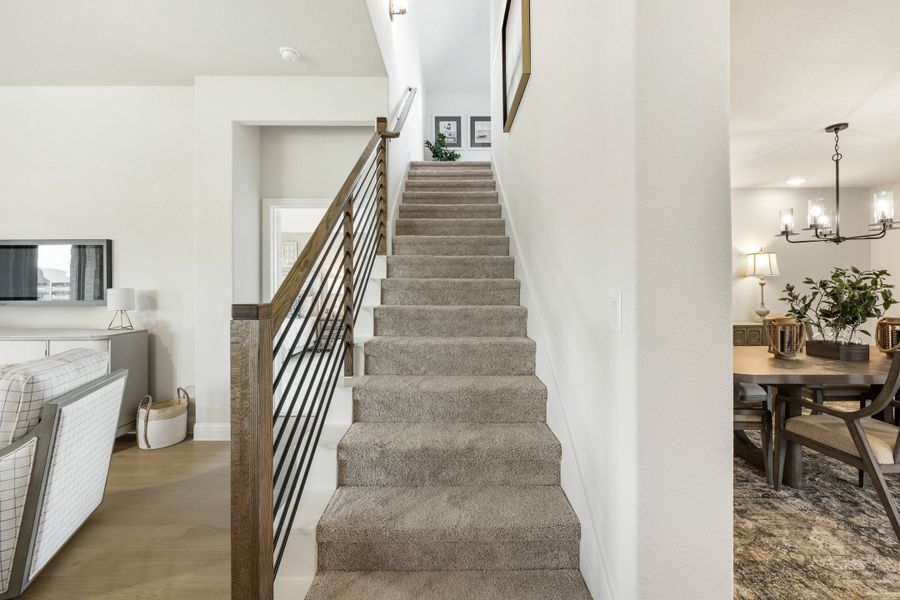 Carolina IV Carolina IV