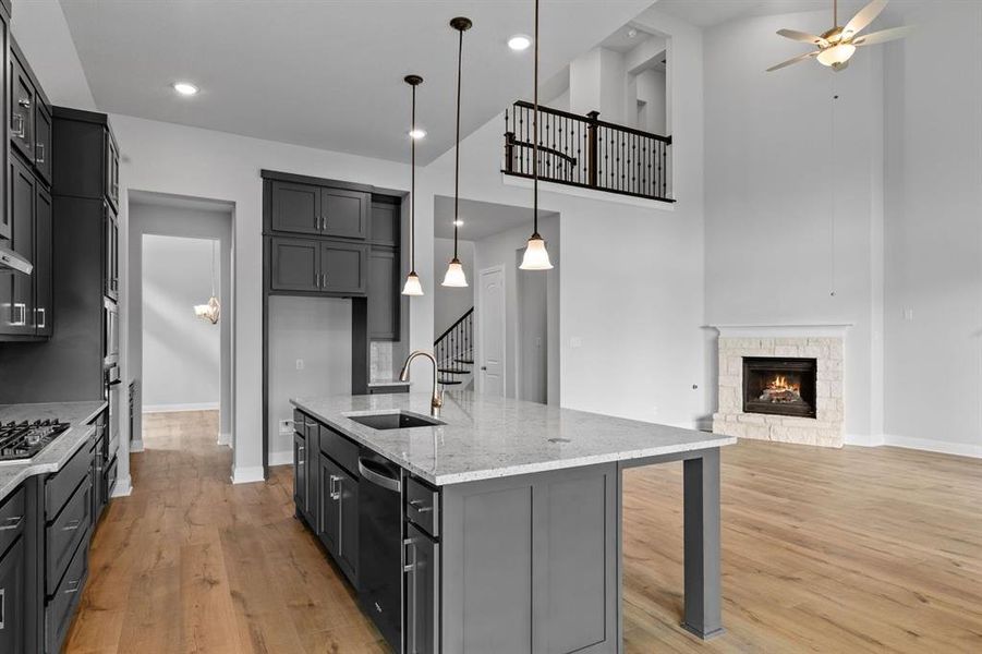 DAL_Painted Tree_Haskell II_4005 Gervais Drive (13)