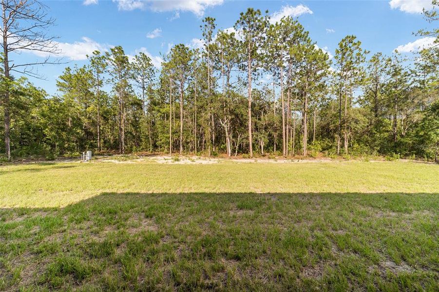Natural landscape and outdoor views near  in Ocala (Image 58).