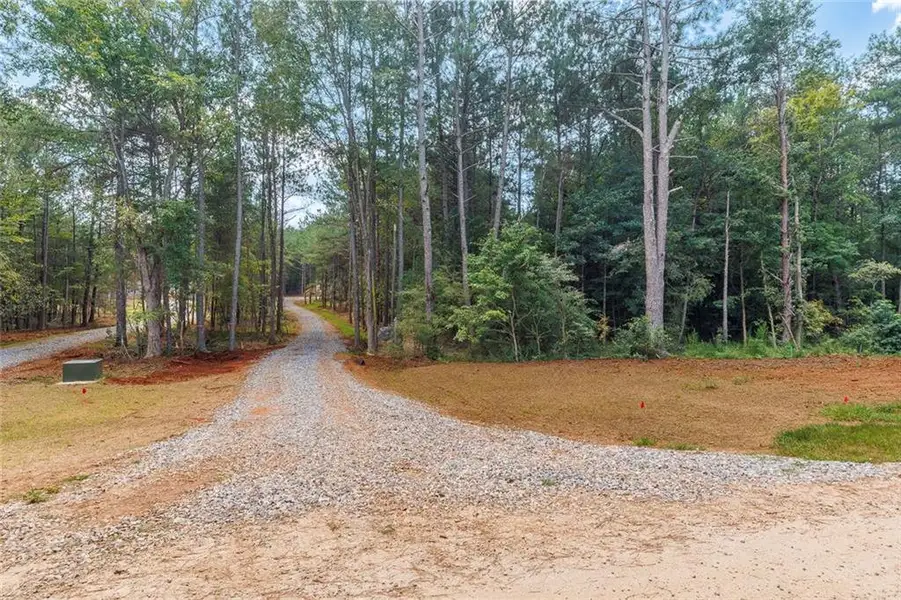 Natural landscape and outdoor views near  in Maysville (Image 33).