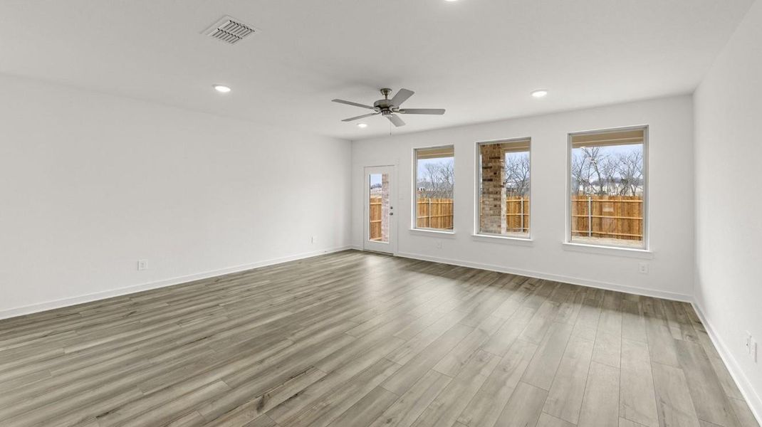 Olive III Representative Photograph Olive III Representative Photograph