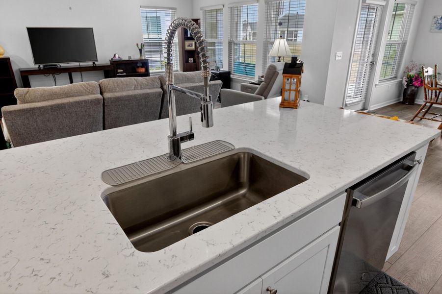 Close-up of interior finishes inside a home in Horizons at Summers Corner | 55+, Summerville (Image 18).