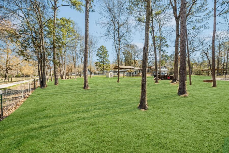 Natural landscape and outdoor views near  in Coldspring (Image 43).