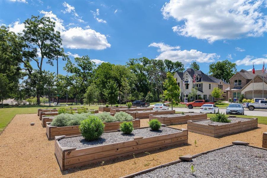 Community amenities in Lake Shore Village, Rowlett (Image 29).