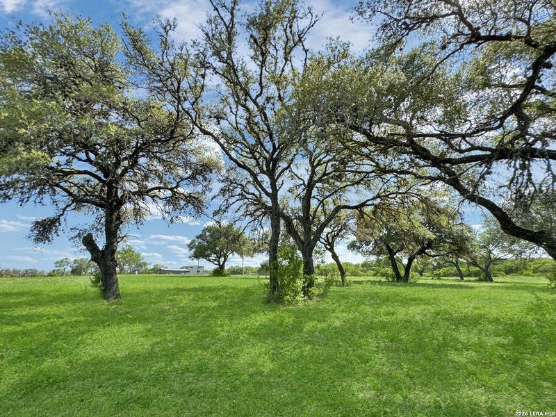 Natural landscape and outdoor views near  in Beeville (Image 13).