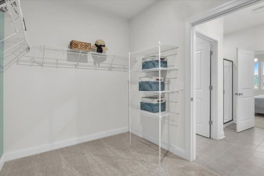 Walk in Closet