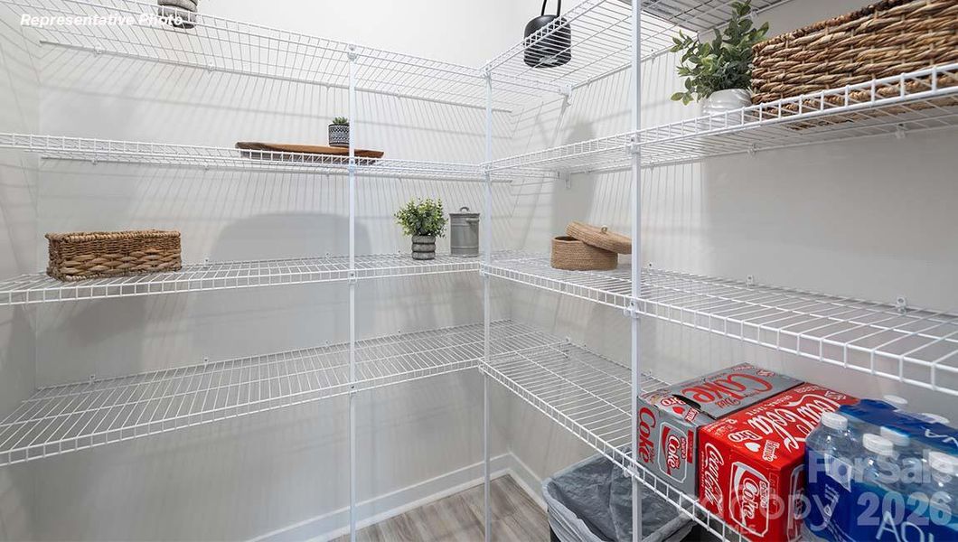 Close-up of interior finishes inside a home in Reedy Creek Preserve, Charlotte (Image 18).