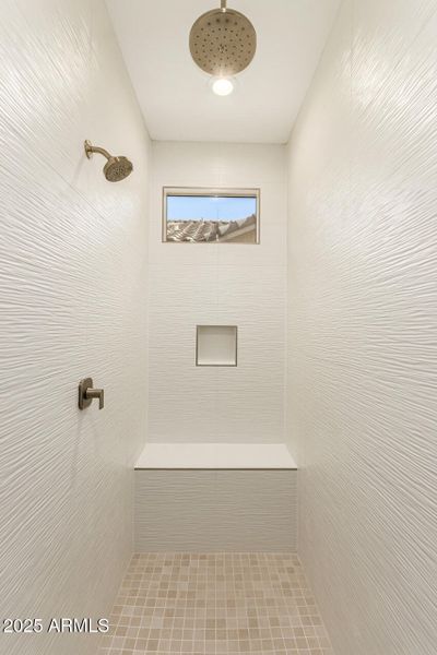 23-Cactus Wren 23-Cactus Wren