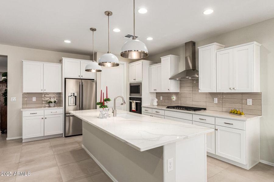 16-Cactus Wren 16-Cactus Wren