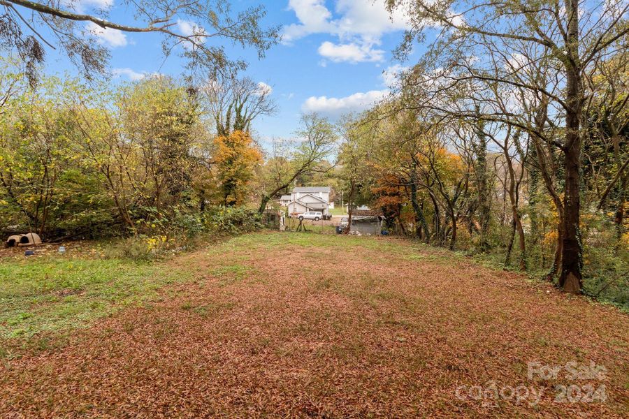 Spacious Backyard