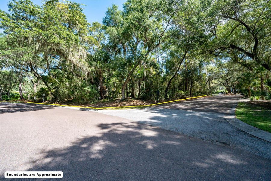 Natural landscape and outdoor views near  in Seabrook Island (Image 11).