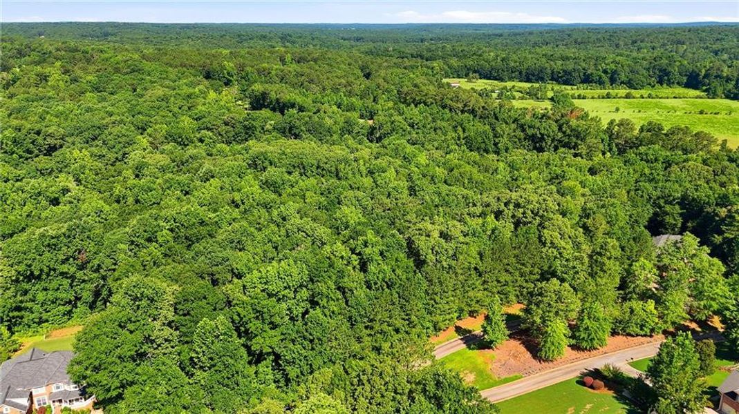 Natural landscape and outdoor views near  in Conyers (Image 15).