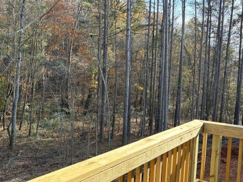 Natural landscape and outdoor views near Eagle Heights in Maysville (Image 4).