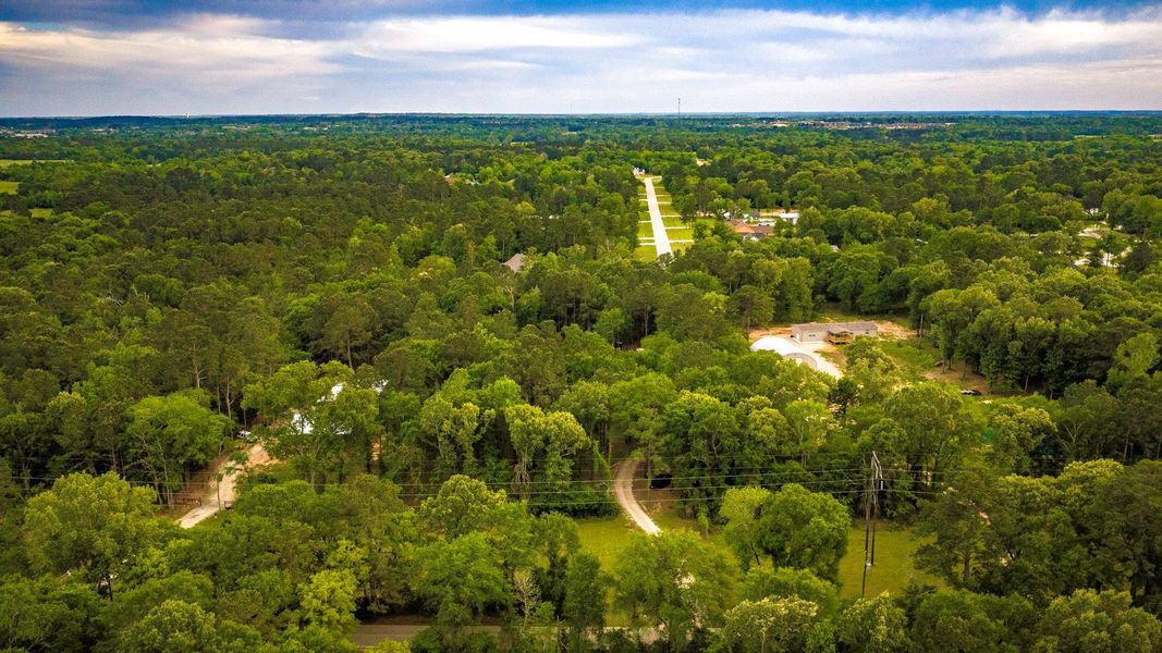 Natural landscape and outdoor views near  in Montgomery (Image 38).