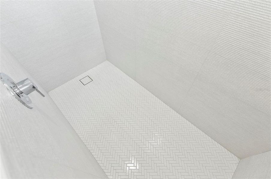 Hall Bathroom shower