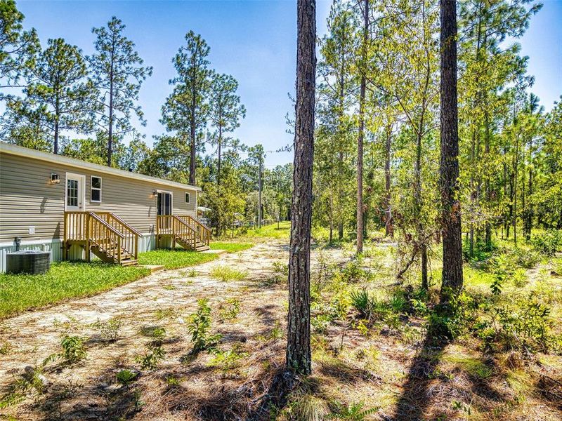 Natural landscape and outdoor views near in Williston (Image 54). Natural landscape and outdoor views near in Williston (Image 54).