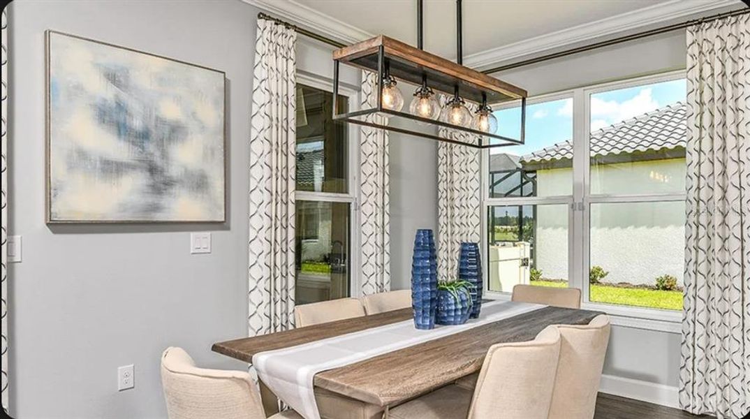 Furnished interior view inside a new home in Esplanade at Wiregrass Ranch, Wesley Chapel (Image 10). Furnished interior view inside a new home in Esplanade at Wiregrass Ranch, Wesley Chapel (Image 10).